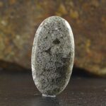 Natural Fossil Coral - Image 2