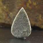 Natural Fossil Coral - Image 3