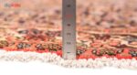 Hand-woven carpet of half and thirty Persia Code 102289