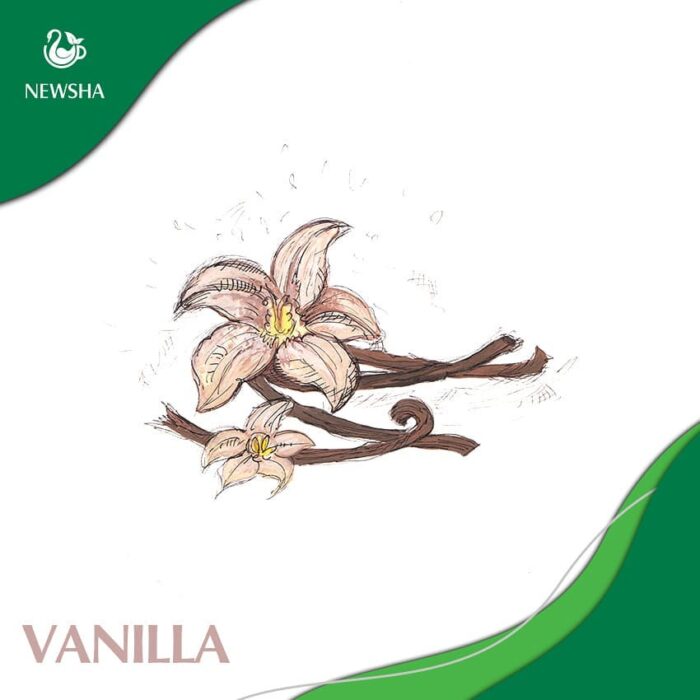 Vanilla tea bag, Newsha brand, 20 Tea Bags