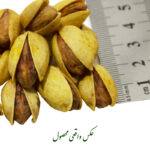 Gharbad / Gharbad pistachio Gharbad salted saffron almond pistachio – 500 grams
