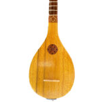 Special Shabake model Setar by malekshahi