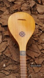Special Shabake model Setar by malekshahi - الصورة 6