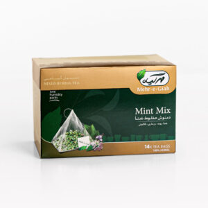 Peppermint Herbal Tea bag – Energizing & Refreshing Blend by Mehr Giah