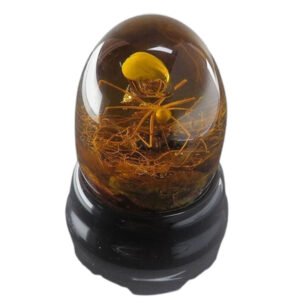 Amber Resin Egg Sculpture – 200g Natural Insect Inclusion, Fossil Specimen
